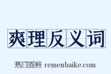爽理反义词是什么意思的图片